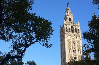 Giralda clipart