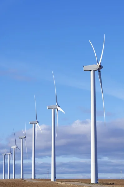 stock image Windmills