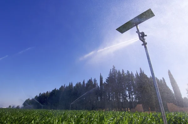 Sprinkler — Stock Photo, Image