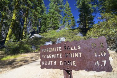 Signal in Yosemite clipart