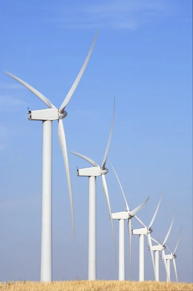 Windmills lined — Stock Photo, Image