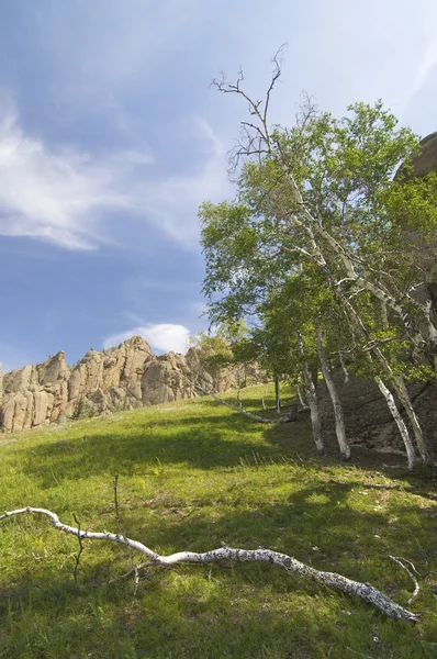 stock image Mongolian landscape