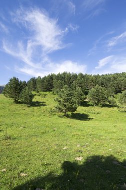 pastoral manzara