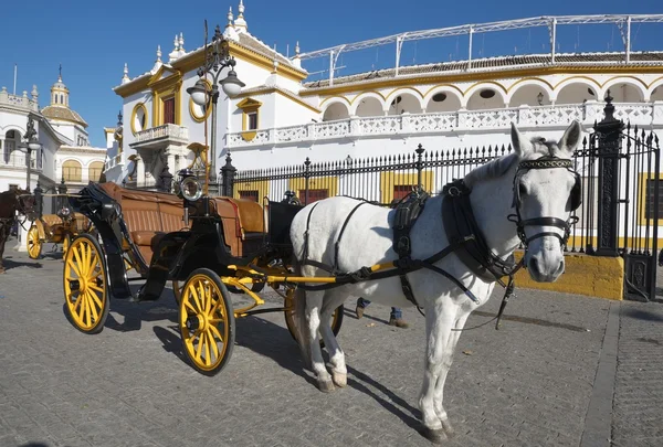 stock image Carriage