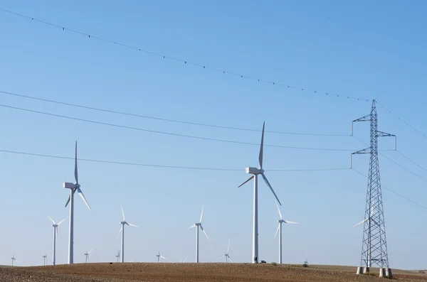 stock image Windmills