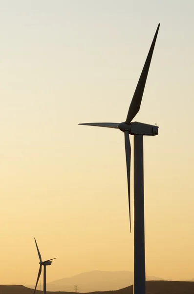 stock image Windmills