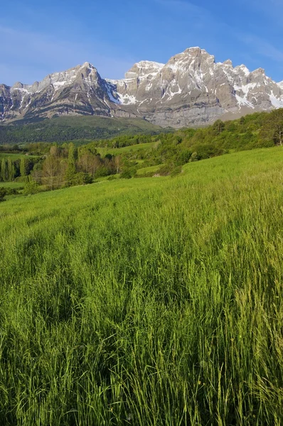 Stock image Pyrenean dawn