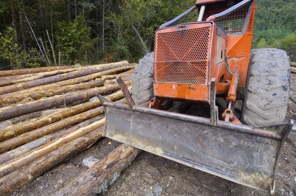 stock image Deforestation