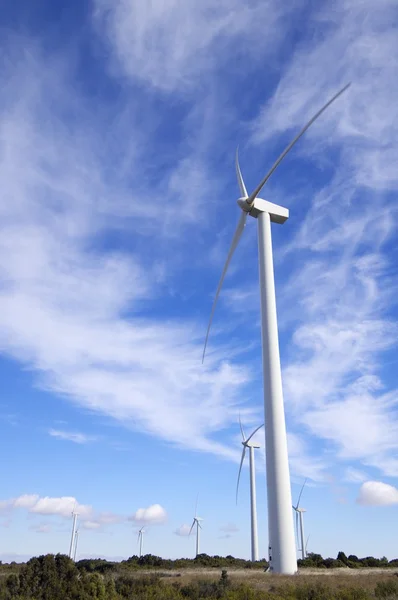 stock image Windmills