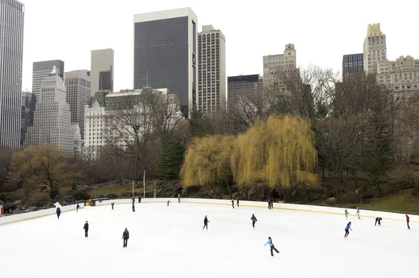Central park — Stock Photo, Image