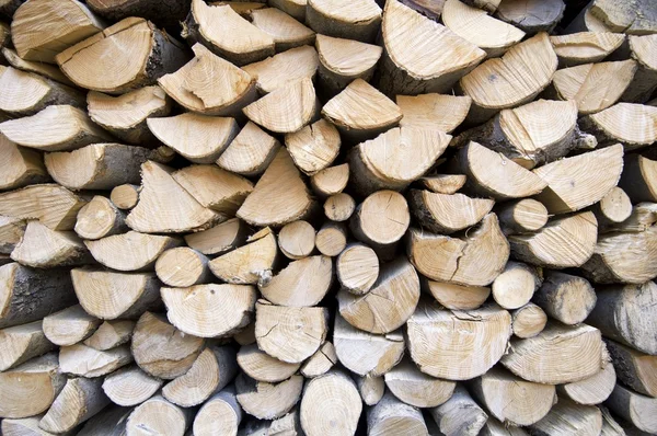 Logs groupe — Stock Photo, Image