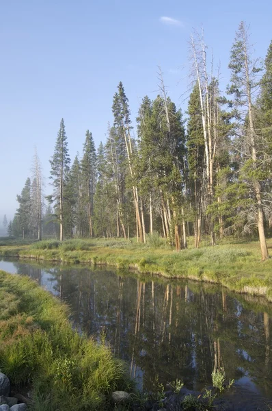 Yellowstone landskap — Stockfoto