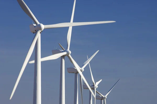 stock image Windmills