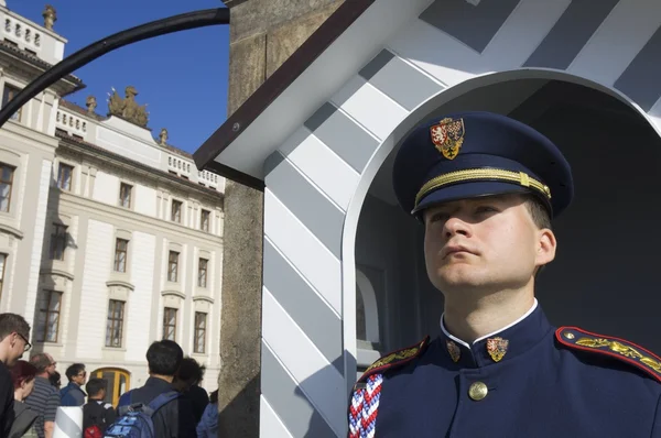 Czech guard — Stock Photo, Image