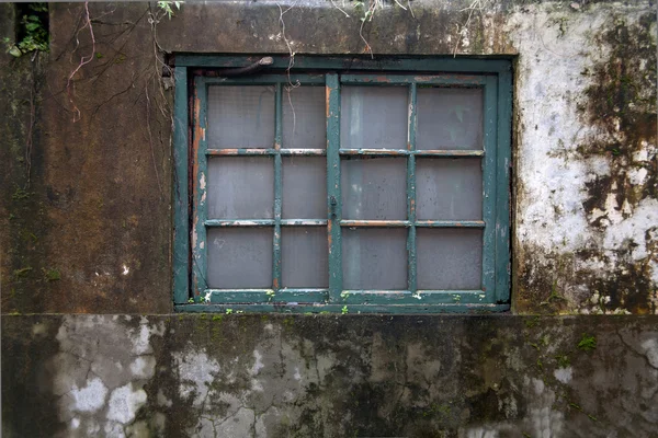 Omšelé okno — Stock fotografie