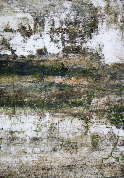 Moosbetonmauer — Stockfoto