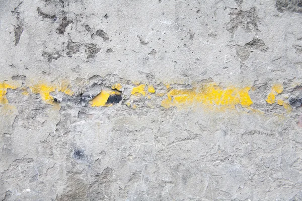 모스 콘크리트 벽 — 스톡 사진