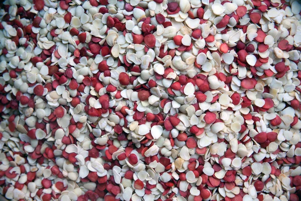 Съедобные семена, сухофрукты — стоковое фото