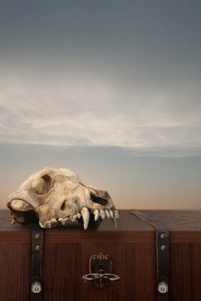 A mystic chest with skull — Stock Photo, Image