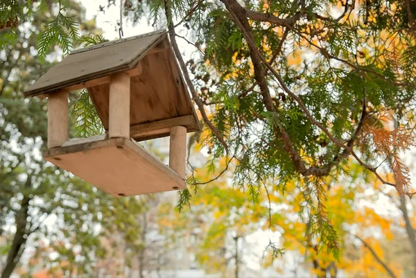 Dům pro krmení ptáků — Stock fotografie