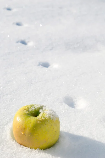 Sárga Alma a hóban — Stock Fotó