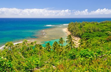 tropik sahil ve lagün Hawaii