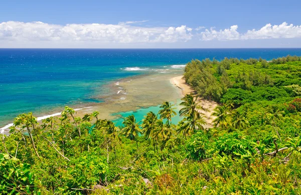 Stock image Tropical Beach and Lagoon in Hawaii