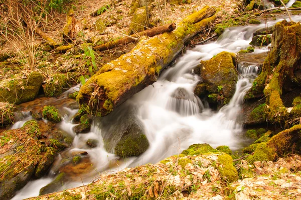 A tavaszi hegyi patak — Stock Fotó