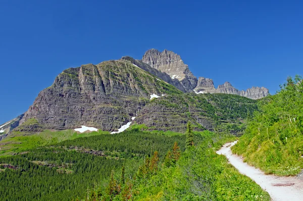 Trail i bergen — Stockfoto