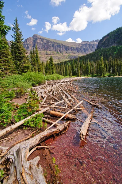 Totholz auf einem alpinen See — Stockfoto