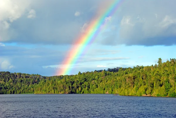 stock image Rainbow in the Wilds