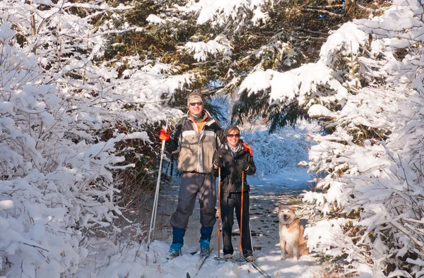 Par vår skidåkning med deras hund — Stockfoto