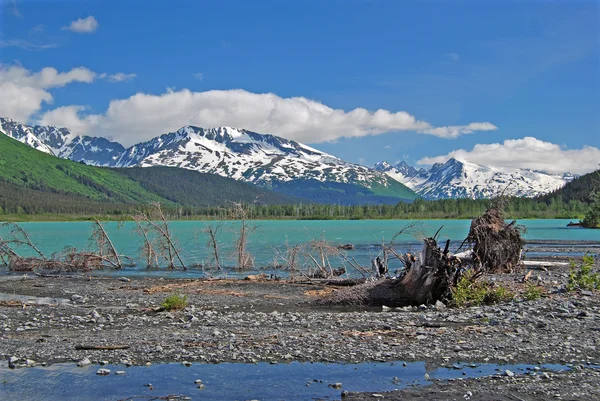 Gletschersee in den Bergen — Stockfoto