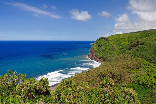 Modrý oceán a trropical pobřeží — Stock fotografie