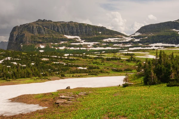 Гірський перевал влітку сніг — стокове фото