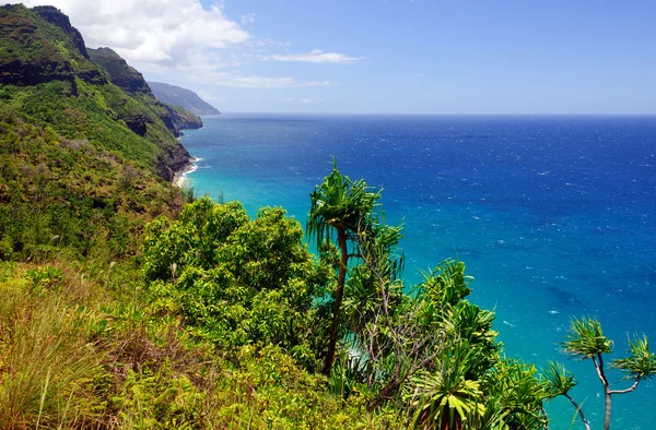 Tropické pobřeží v hawaii — Stock fotografie