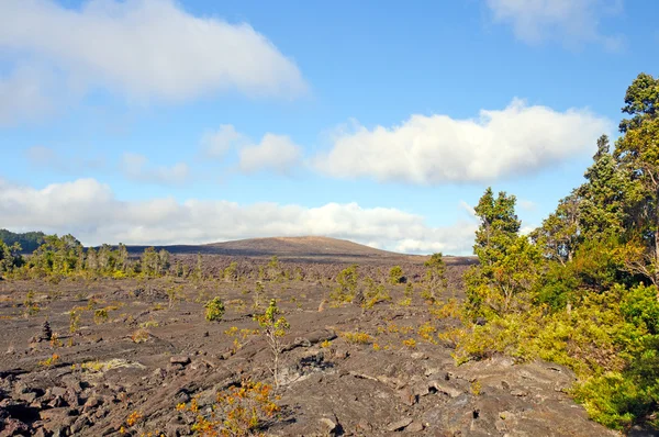 Vulkanisk kotte och dess lavaflödet — Stockfoto