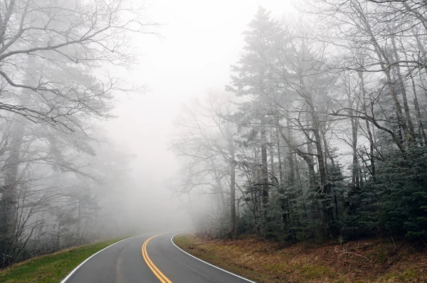 stock image Ice Fog on a Mountain Road