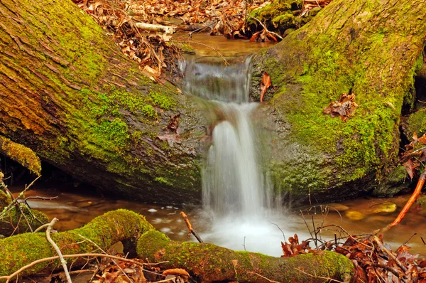 Malý potok teče přes kmen stromu — Stock fotografie