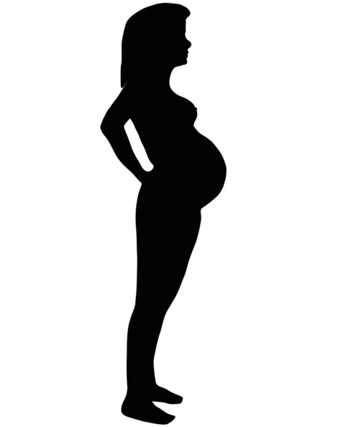 La silhouette de la femme enceinte . — Image vectorielle