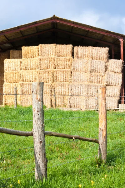 Haystack stocké et clôture — Photo