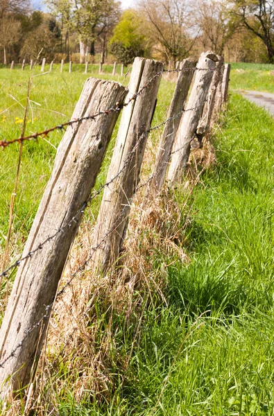 Kerítés, legelő — Stock Fotó