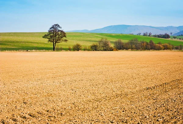 農業 landscapeagricultural の風景 — ストック写真