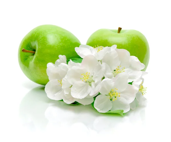 Mele verdi e fiori di mela su sfondo bianco — Foto Stock