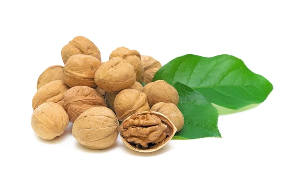 Walnuts and green leaves on white background — Stok fotoğraf