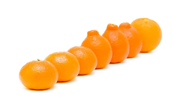 Tangerines on a white background — Stock Photo, Image