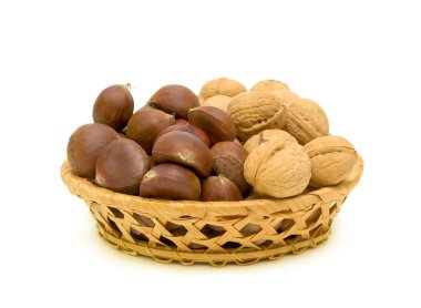 Chestnuts and walnuts clipart