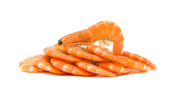 Large shrimps on a white background — Stock Photo, Image