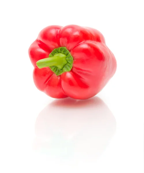 Röd paprika närbild på vit bakgrund — Stockfoto