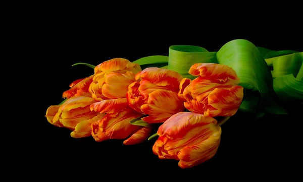 Kytice tulipánů na černém pozadí — Stock fotografie